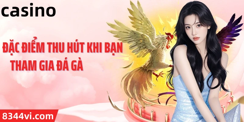 Hình ảnh quảng cáo của canohu hiển thị nền tảng và các lợi ích